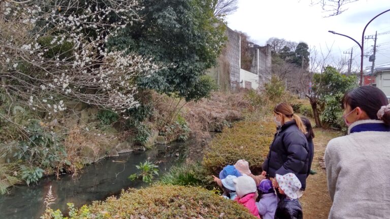 せせらぎの道（紅白の梅の季節）