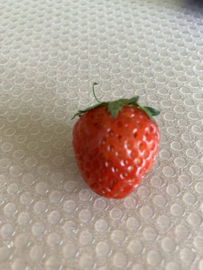 いちごが出来たよ～♪